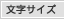 文字サイズ