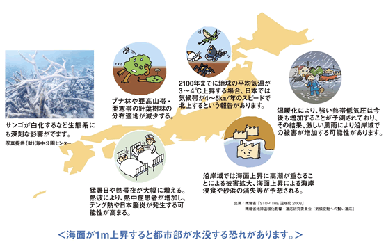 地球温暖化の影響予測 日本 Jccca 全国地球温暖化防止活動推進センター